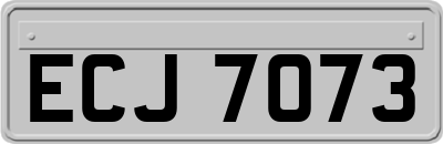 ECJ7073