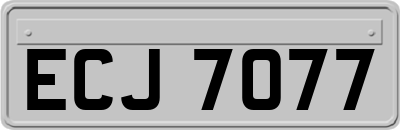 ECJ7077