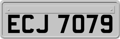 ECJ7079
