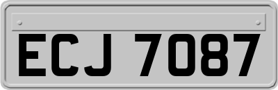 ECJ7087
