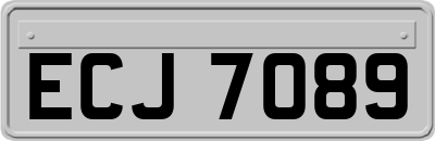 ECJ7089