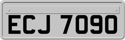 ECJ7090