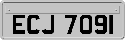 ECJ7091