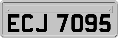 ECJ7095