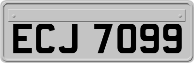 ECJ7099