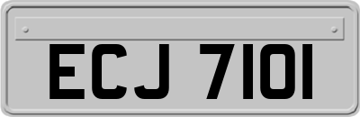 ECJ7101