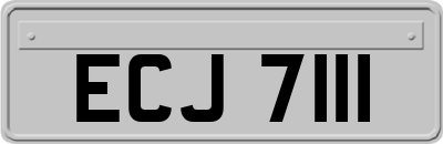 ECJ7111