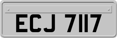 ECJ7117