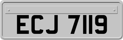 ECJ7119