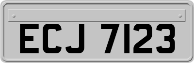 ECJ7123