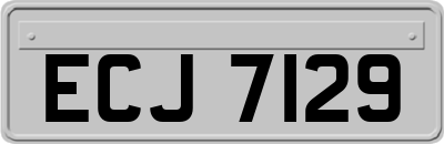 ECJ7129