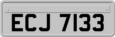 ECJ7133