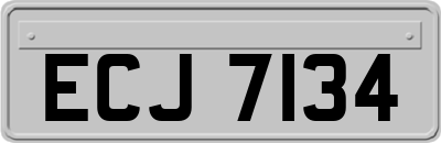 ECJ7134