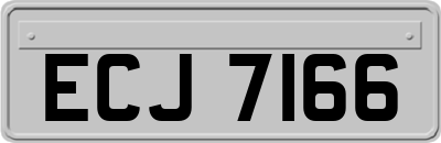 ECJ7166