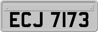 ECJ7173