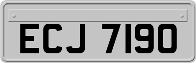 ECJ7190