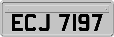 ECJ7197