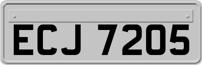 ECJ7205