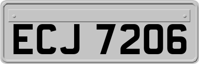 ECJ7206