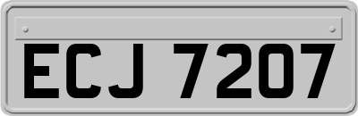 ECJ7207