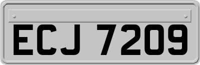 ECJ7209