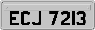 ECJ7213