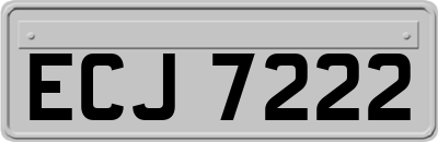 ECJ7222
