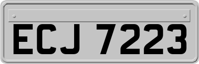ECJ7223