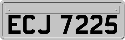 ECJ7225