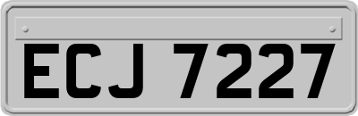 ECJ7227