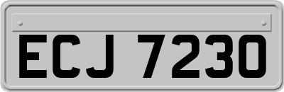 ECJ7230