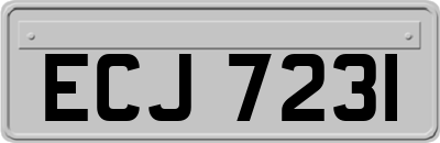ECJ7231