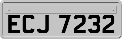 ECJ7232