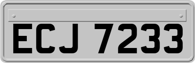 ECJ7233
