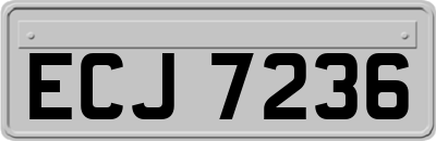 ECJ7236