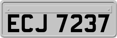 ECJ7237