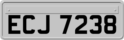 ECJ7238