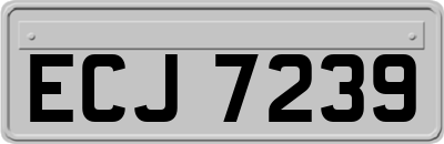 ECJ7239