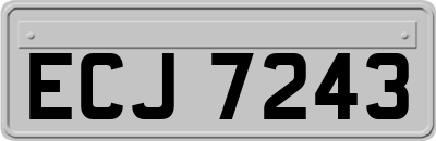 ECJ7243