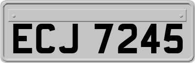 ECJ7245