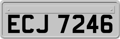 ECJ7246