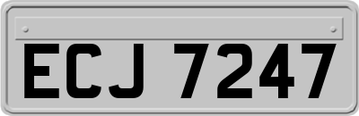ECJ7247