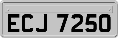 ECJ7250