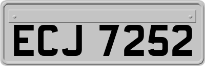 ECJ7252