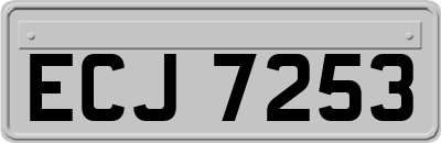 ECJ7253