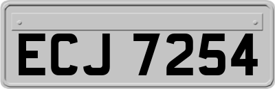 ECJ7254
