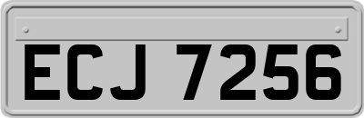 ECJ7256