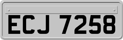 ECJ7258