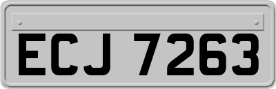 ECJ7263