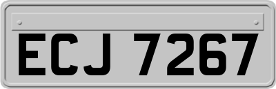 ECJ7267